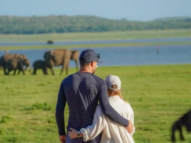 A couple looks at elephants from a distance in a green field near water.